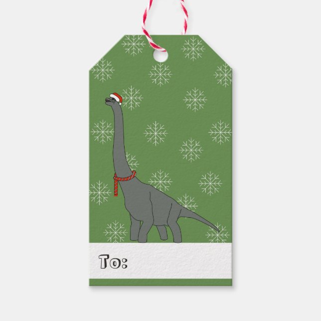 illusima Langhalsig Dinosaurier Weihnachtsschneefl Geschenkanhänger (Vorderseite)
