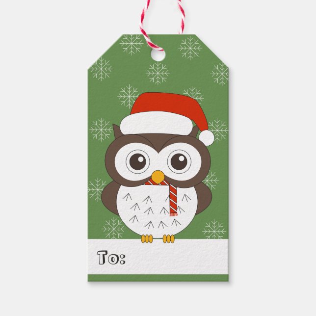 illusima Owl Weihnachtsmannmütze Weihnachten Schne Geschenkanhänger (Vorderseite)