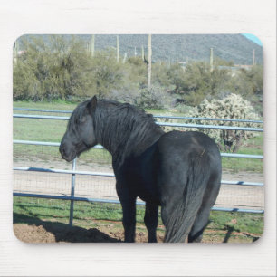 Illusion das Percheron Mousepad