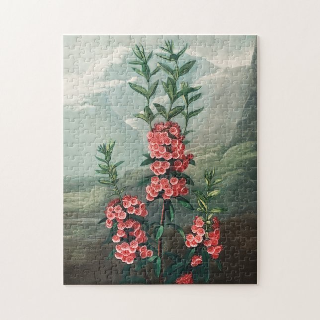 Illustration alter Blumen (Vertikal)