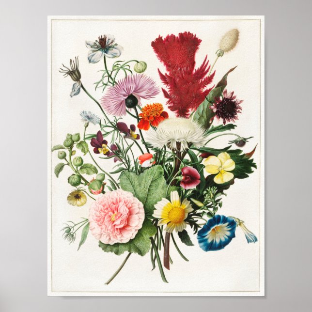Illustration alter Blumen Poster (Vorne)