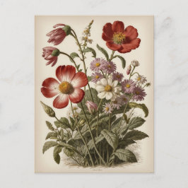 Illustration alter Blumen Postkarte