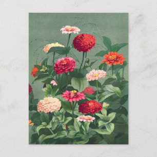 Illustration alter Blumen Postkarte