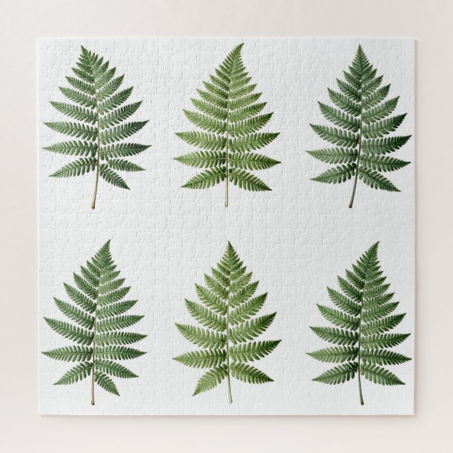 Illustration alter botanischer Farnblätter (Vertikal)