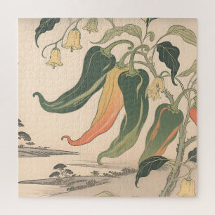 Illustration alter Chili-Pfeffer