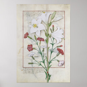 Illustration aus dem "Buch des Einfachen Poster