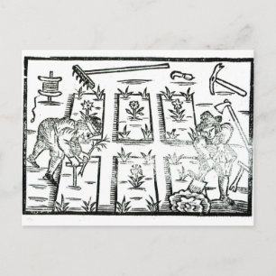 Illustration aus einem Buch über das Gärtnern Postkarte