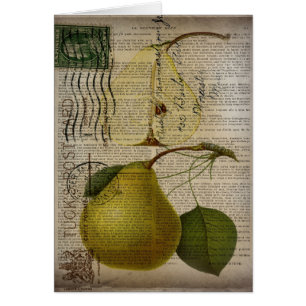 illustration botanique de pays français poire vint