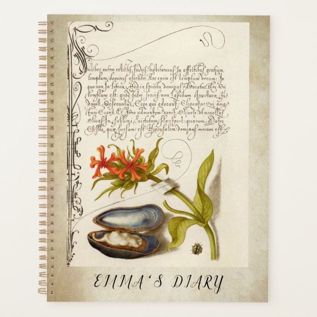 Illustration botanique du texte de calligraphie an (Devant)