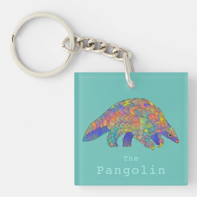 Illustration colorée de mignon Pangolin (Devant)