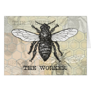 Illustration d'abeille ouvrière vintage