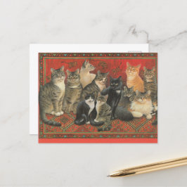 ILLUSTRATION DE CARTE POSTALE CAT
