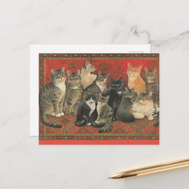 ILLUSTRATION DE CARTE POSTALE CAT (Devant/Arrière en situation)