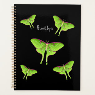 illustration de cartoon de papillon luna