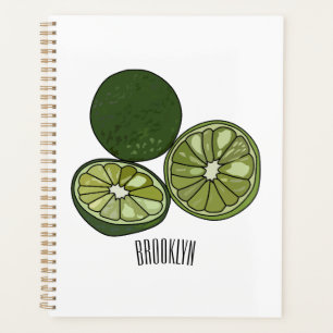 Illustration de chaux Kaffir