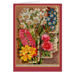Illustration de cru de paquet de graine de fleur