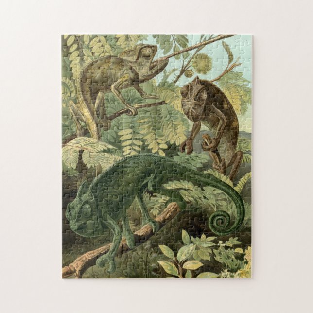 Illustration de cru de puzzle de caméléon (Vertical)