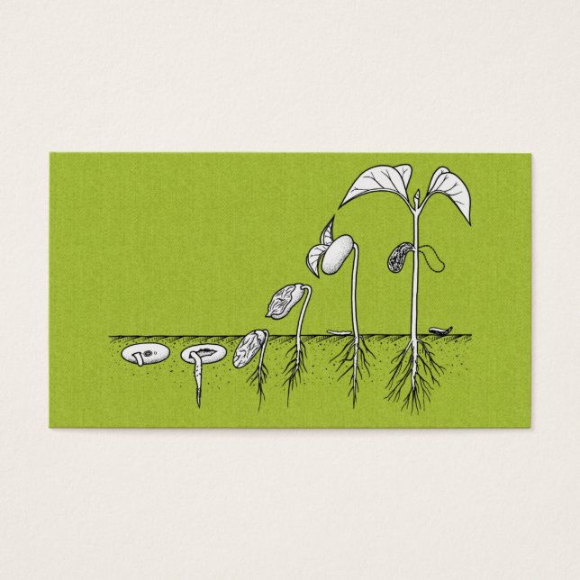 Illustration de germination plante (Devant)