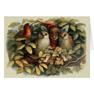 Illustration de la nature des hiboux et des fées d