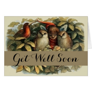 Illustration de la nature des hiboux et des fées d