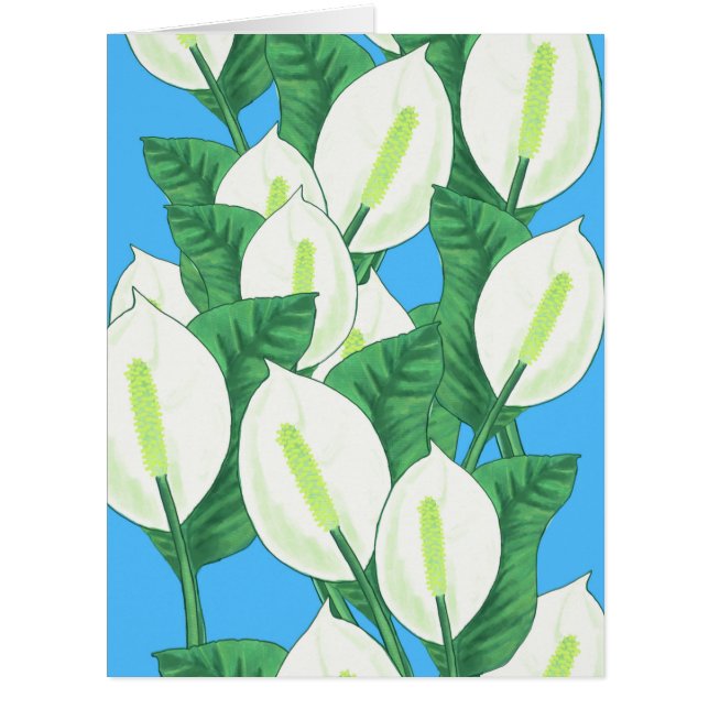 Illustration de la paix (Devant)