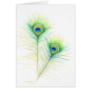 Illustration de l'aquarelle Peacock Feathers