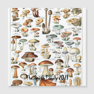 Illustration de l'art des champignons de la carte 