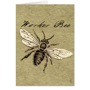 Illustration de l'insecte d'abeille vintage