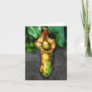 Illustration de Nepenthes, Pitcher Plante
