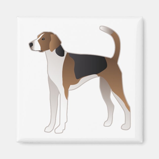 Illustration der amerikanischen Foxhound Basic Hun Magnet (Vorne)
