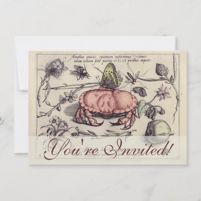 Illustration der botanischen Insekten-Blume Einladung (Vorderseite)