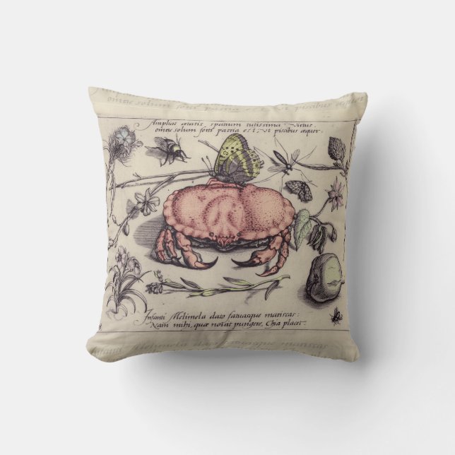 Illustration der botanischen Insekten-Blume Kissen (Vorderseite)