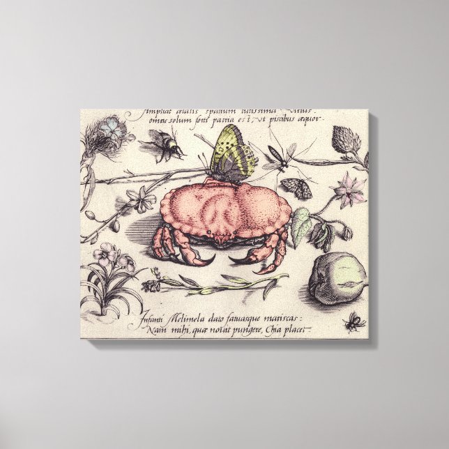 Illustration der botanischen Insekten-Blume Leinwanddruck (Vorderseite)