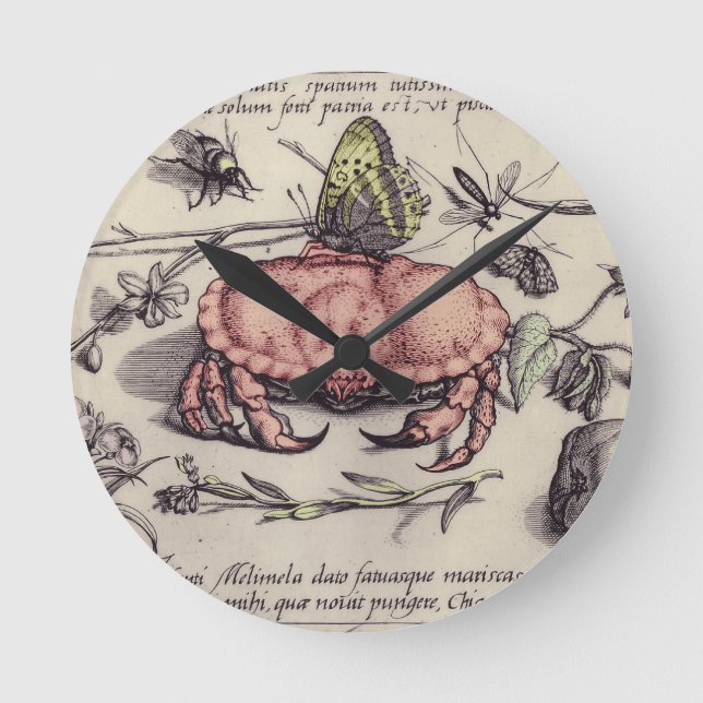 Illustration der botanischen Insekten-Blume Runde Wanduhr (Vorderseite)