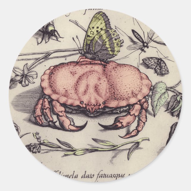 Illustration der botanischen Insekten-Blume Runder Aufkleber (Vorderseite)