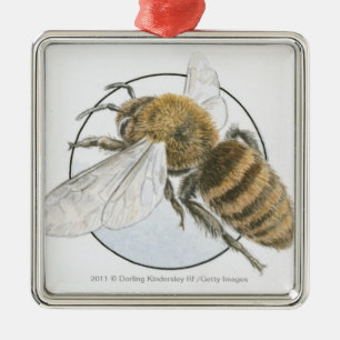 Illustration der europäischen Honig-Biene Ornament Aus Metall