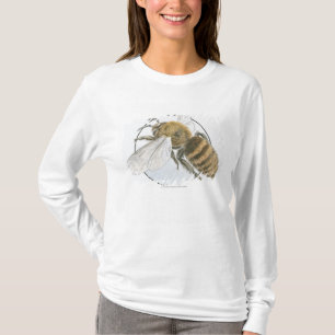 Illustration der europäischen Honig-Biene T-Shirt