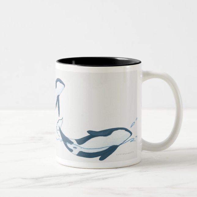 Illustration der Killerwale (Orcinus-Schwertwal) Zweifarbige Tasse (Rechts)