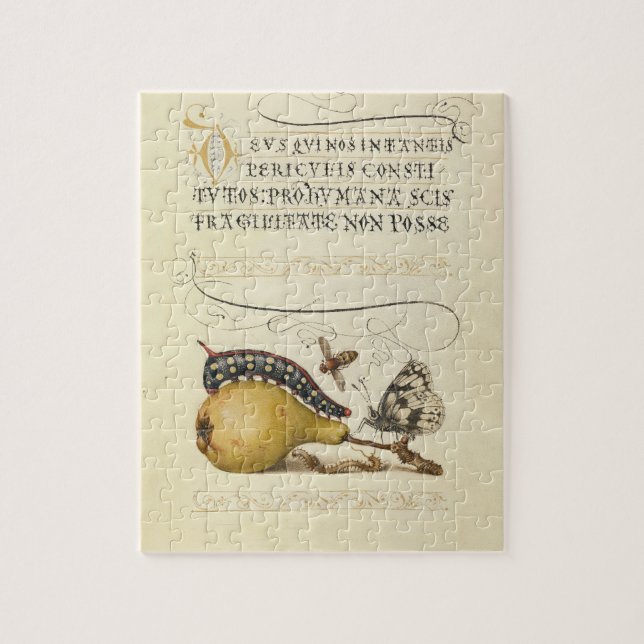 Illustration der Schmetterlingsbeere (Vertikal)