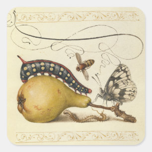 Illustration der Schmetterlingsbeere Quadratischer Aufkleber