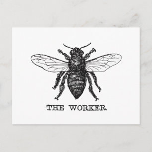Illustration der Vintagen Arbeiterbiene Postkarte
