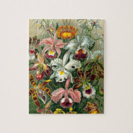 Illustration der Vintagen Orchideen