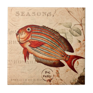 Illustration der Vintagen Rotfische Fliese