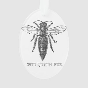 Illustration des abeilles de l'insecte de la reine
