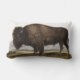 Illustration des amerikanischen Bison (Bos America Lendenkissen