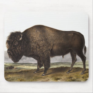Illustration des amerikanischen Bison (Bos America Mousepad