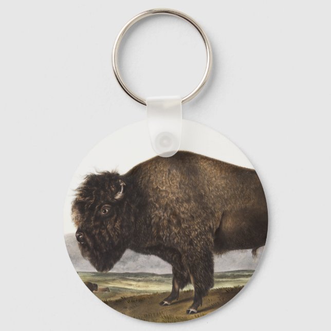 Illustration des amerikanischen Bison (Bos America Schlüsselanhänger (Vorderseite)