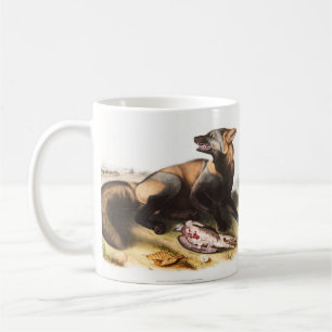 Illustration des Amerikanischen Kreuzfuchses (Cani Kaffeetasse