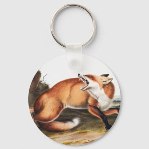 Illustration des Amerikanischen Rotfuchs (Vulpes F Schlüsselanhänger