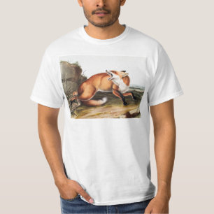 Illustration des Amerikanischen Rotfuchs (Vulpes F T-Shirt
